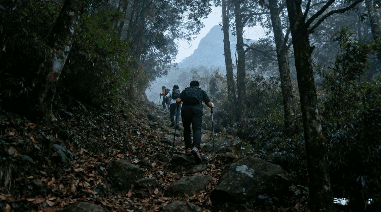 立即免费下载快喵加速器官方最新版，畅享极速网络体验